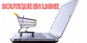 Site e-commerce